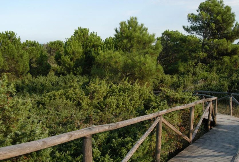 Giardino Botanico litoraneo di Porto Caleri, Italy